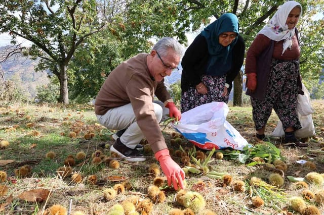 Nazilli Belediye Başkanı Tetik, Kestane Üreticilerinin Sorunlarını Dinledi
